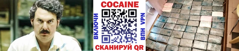 Cocaine FishScale  Купить закладки  Пущино 