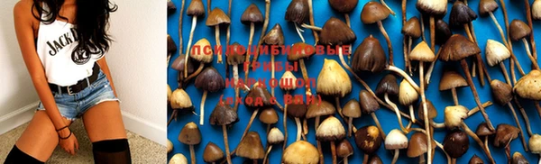амф Богданович