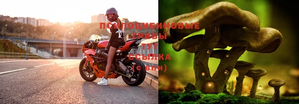 амф Богданович