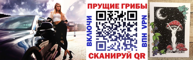 Псилоцибиновые грибы GOLDEN TEACHER  Купить  Пущино 